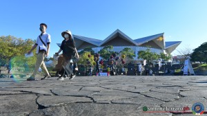 palazzetto panoramiche foto simone ferraro sfa 0088 copia